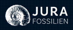 Jura-Fossilien.de