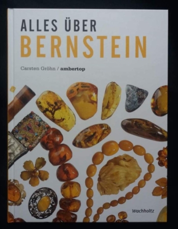 Alles über Bernstein – von Carsten Gröhn